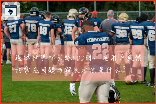 选择世界杯买球app时，老用户反馈的常见问题与解决方法是什么？