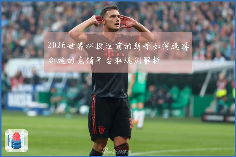 2026世界杯投注前的新手如何选择合适的竞猜平台和规则解析
