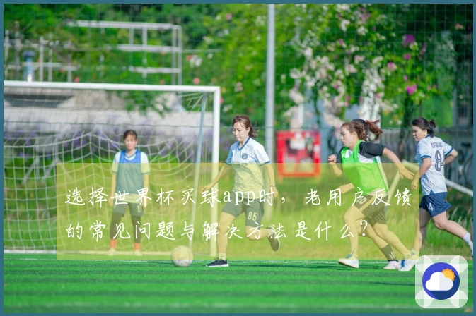 选择世界杯买球app时，老用户反馈的常见问题与解决方法是什么？