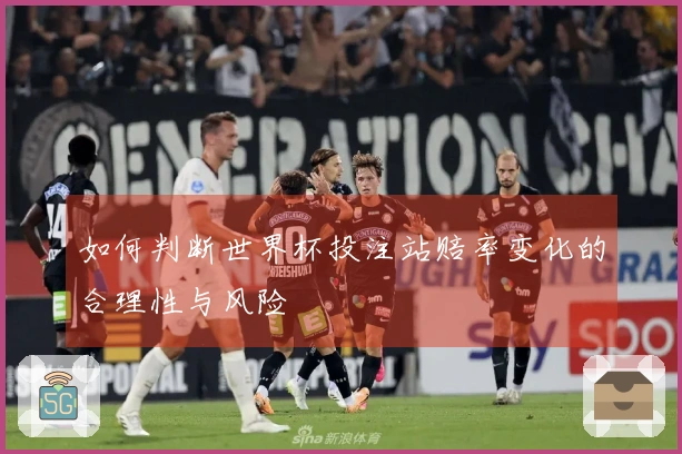 如何判断世界杯投注站赔率变化的合理性与风险