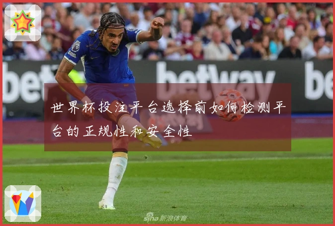 世界杯投注平台选择前如何检测平台的正规性和安全性
