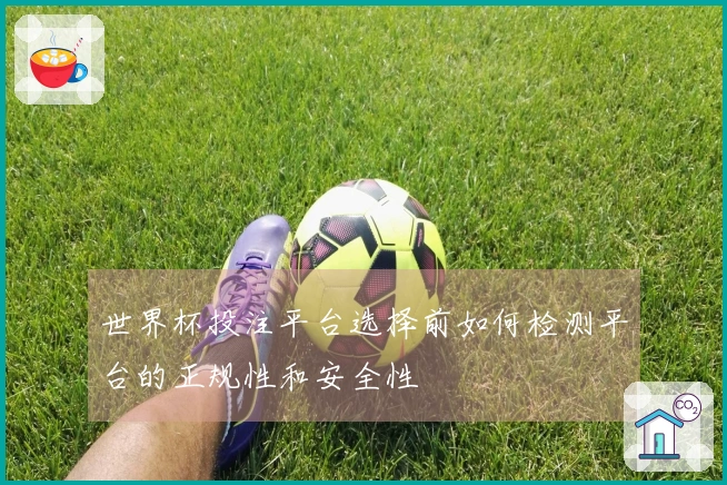世界杯投注平台选择前如何检测平台的正规性和安全性